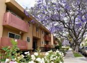 Thumbnail 3 of 14 - Beautiful flowers and trees