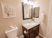 Thumbnail 48 of 54 - the preserve at ballantyne commons apartments bathroom with sink and toilet