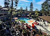 Thumbnail 24 of 28 - a view of the pool at the resort on a sunny day