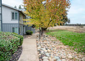 Thumbnail 2 of 19 - A tree with yellow leaves stands next to a grey building.