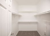 Thumbnail 57 of 61 - A white closet with a carpeted floor and a shelf.