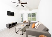 Thumbnail 56 of 66 - A living room with a grey couch, a black TV, and a ceiling fan.