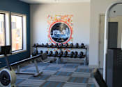 Thumbnail 14 of 24 - A gym with a row of dumbbells and a weight machine.