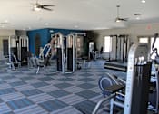 Thumbnail 16 of 24 - A gym with a variety of equipment including treadmills, weights, and exercise machines.