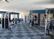 Thumbnail 17 of 24 - A gym with a variety of equipment.