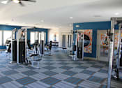 Thumbnail 18 of 24 - A gym with a variety of equipment including treadmills, weights, and a fan.