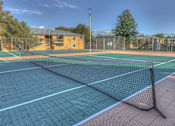 Thumbnail 24 of 24 - A tennis court with a green and red surface and a black net.