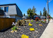 Thumbnail 1 of 24 - flowers in front of boardwalk apartments
