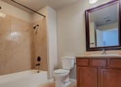 Thumbnail 16 of 54 - View of large bathroom, with tiled tub shower combo, toilet, vanity and sink, large mirror, and lighting