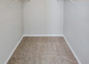 Thumbnail 10 of 54 - View of bedroom walk in closet with shelving and carpet flooring