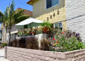 Thumbnail 6 of 6 - Colorful bushes and greenery