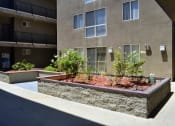 Thumbnail 11 of 11 - planter boxes