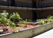 Thumbnail 10 of 11 - planter boxes in the courtyard