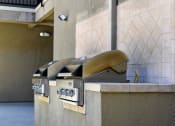 Thumbnail 9 of 11 - grilling area with two grills