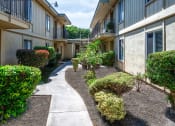 Thumbnail 25 of 33 - the courtyard of an apartment building with a sidewalk and landscaping