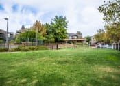 Thumbnail 31 of 54 - View of gated dog park