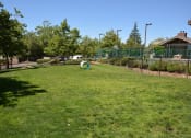 Thumbnail 30 of 54 - View of gated dog park