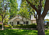 Thumbnail 1 of 20 - A tree in front of a house with the words "Lee's Cove" on the front.