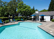 Thumbnail 14 of 20 - A swimming pool surrounded by trees and a house.