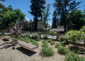 Thumbnail 24 of 26 - park area with benches and buildings in the background