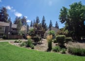 Thumbnail 18 of 26 - landscaped buildings