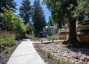 Thumbnail 16 of 26 - sidewalk between buildings with nice landscaping and natural rocks