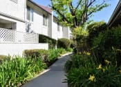Thumbnail 7 of 25 - View of exterior building with sidewalk and green shrubbery