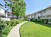 Thumbnail 1 of 25 - A residential area with apartment buildings and a well-maintained lawn.