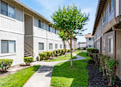 Thumbnail 11 of 12 - a pathway between two apartment buildings with grass and trees
