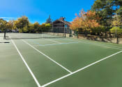Thumbnail 38 of 54 - a tennis court with trees and a house in the background