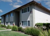 Thumbnail 34 of 34 - View of exterior building at Villas at Fair Oaks with lush shrubbery surrounding building