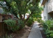 Thumbnail 26 of 34 - View of exterior buildings, private patio/balcony, and shade trees covering sidewalk