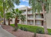 Thumbnail 35 of 36 - a building with a sidewalk and palm trees in front of itat Glen Brae, Glendale, AZ