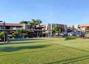 Thumbnail 53 of 54 - A grassy area in front of a building with a fence at Denim Scottsdale, Scottsdale, AZ