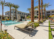 Thumbnail 4 of 52 - A pool surrounded by palm trees and a sun lounger.