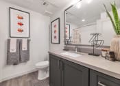 Thumbnail 44 of 76 - a bathroom with a sink and a toilet and a mirrorat Weylyn Luxury Apartments, Laveen, AZ 85339