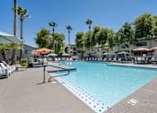 Thumbnail 28 of 40 - A pool surrounded by palm trees and lounge chairs. at Lazo Apartment Homes, Arizona, 85225