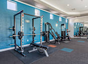 Thumbnail 31 of 42 - Fitness Center at Palazzo Townhomes, Phoenix, AZ 85008  