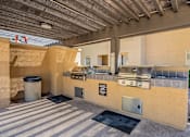 Thumbnail 40 of 42 - Grill Stations at Palazzo Townhomes, Phoenix  