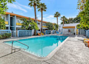 Thumbnail 1 of 26 - A swimming pool in a sunny outdoor setting. at The Phoenix Apartments on 6th Avenue, Phoenix 85013