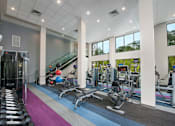 Thumbnail 15 of 26 - Atlanta Apartment Rentals with Gym, Weights and Cardio Machines to Exercise