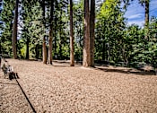 Thumbnail 17 of 21 - Spacious and Gated Dog Park at Pet Friendly Apartments Near Me