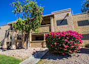 Thumbnail 22 of 30 - Extensively Landscaped Lawns and Courtyards at Apartments in Bullhead City AZ