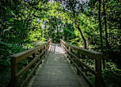 Thumbnail 24 of 26 - Nature Preserve and Walking Trail at Apartments on Buford Highway