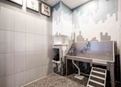 Thumbnail 16 of 23 - Pet Washing Station at Colorado Springs Rentals