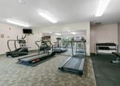 Thumbnail 9 of 23 - a gym with treadmills and other exercise equipment