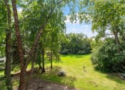 Thumbnail 15 of 21 - a view of a park with trees and a grass field