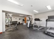 Thumbnail 11 of 21 - the gym at the preserve apartments
