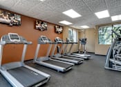 Thumbnail 17 of 32 - Fitness center with a row of treadmils and TVs on the wall