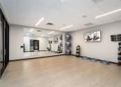 Thumbnail 12 of 44 - Yoga studio with mirrors, yoga balls, mats, and a TV
